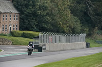 Middle Group Black Bikes